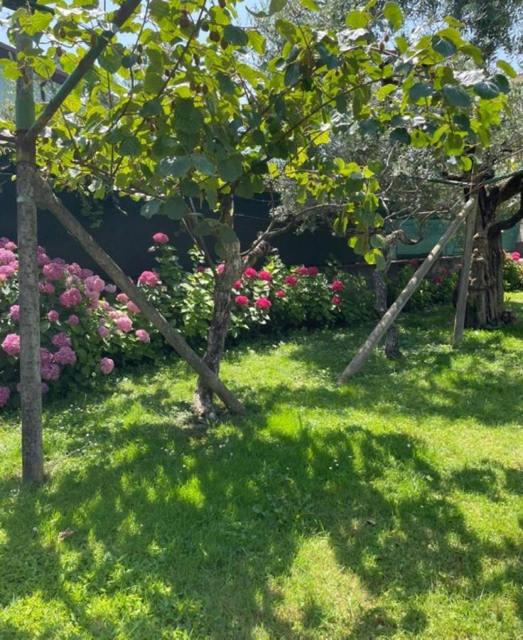 Verde House 2 Riva Zewnętrze zdjęcie